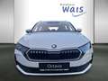 Skoda Octavia Selection TSI mHEV DSG Weiß - thumbnail 2