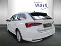 Skoda Octavia Selection TSI mHEV DSG Weiß - thumbnail 4