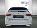 Skoda Octavia Selection TSI mHEV DSG Weiß - thumbnail 3