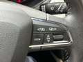 SEAT Arona 1.0 TSI Ecomotive S&S Xcellence 95 Gris - thumbnail 14