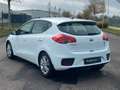 Kia Ceed / cee'd Ceed Edition 7*Klima*RFK*PDC* Bílá - thumbnail 3