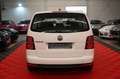 Volkswagen Touran 1.9 TDI Concepline 6Gang Klima*Navi* Weiß - thumbnail 8