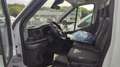 Ford Transit Pritsche E-KABIN TREND 350L2 130PS M6 FW Weiß - thumbnail 7