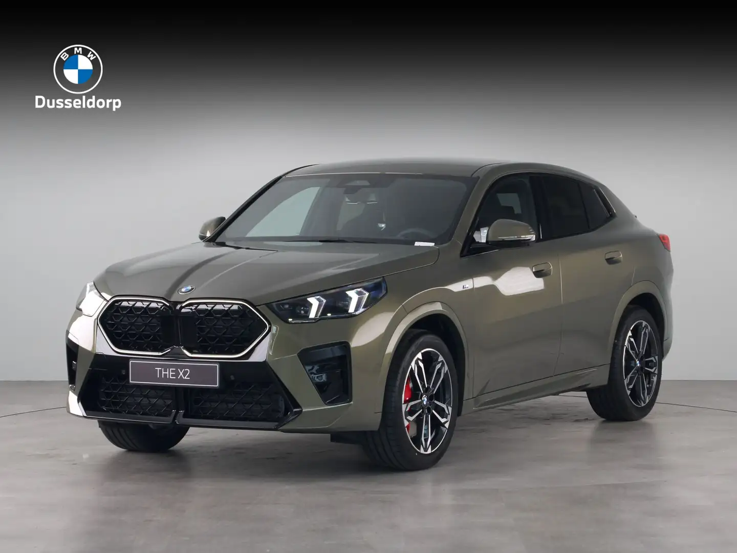 BMW X2 sDrive20i Vert - 1