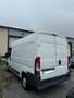 Peugeot Boxer BOXER VITRE 335 L2H2 2.2 HDI 110 CONFORT Blanc - thumbnail 3