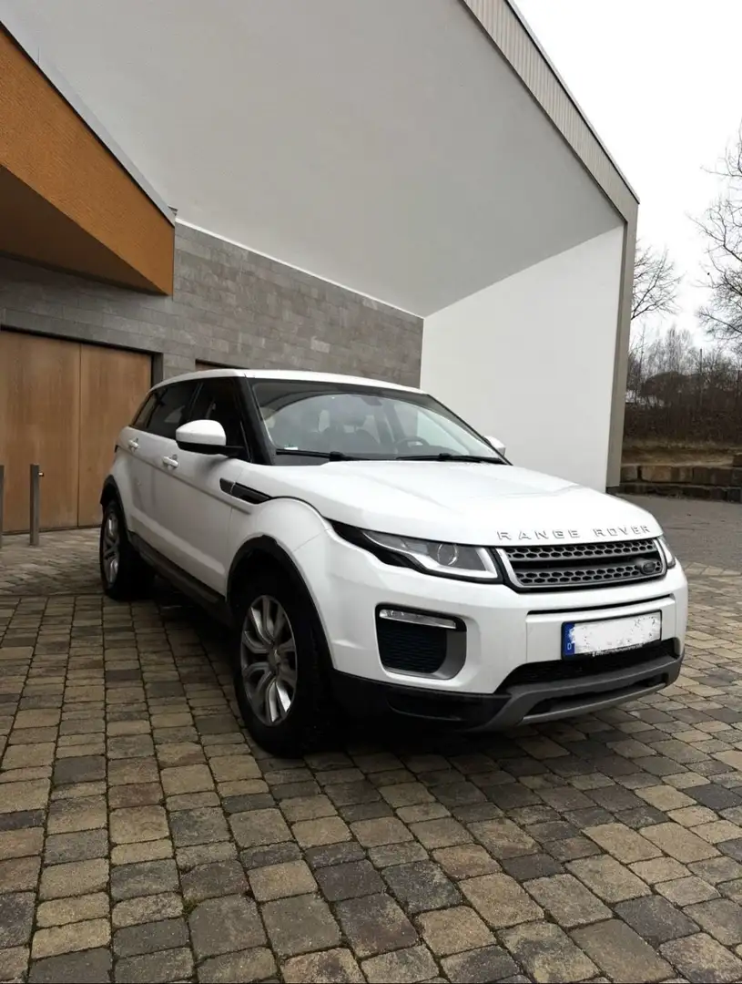 Land Rover Range Rover Evoque SE Weiß - 1