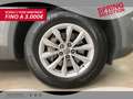 Audi Q5 40 2.0 TDI quattro 190 CV S tronic Grigio - thumbnail 12