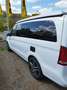 Mercedes-Benz Marco Polo Vito 300 d EDITION Blanc - thumbnail 5