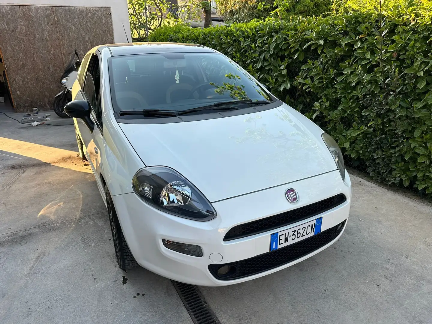 Fiat Punto Punto IV Serie  3p 1.2 Street E6 Blanc - 1