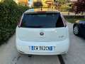 Fiat Punto Punto IV Serie  3p 1.2 Street E6 Blanc - thumbnail 6