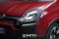 Fiat Panda Pandina 1.0 Firefly Hybrid 70CV Cross Rouge - thumbnail 3