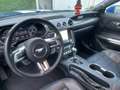 Ford Mustang 5.0 GT Klappe*20-Zoll*Premium*Performance*8fach Blau - thumbnail 8