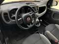 Fiat Panda Panda 1.0 firefly hybrid City Life s&s 70cv 5posti Gris - thumbnail 7