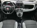 Fiat Panda Panda 1.0 firefly hybrid City Life s&s 70cv 5posti Gris - thumbnail 9