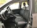 Fiat Panda Panda 1.0 firefly hybrid City Life s&s 70cv 5posti Gris - thumbnail 8