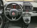 Fiat Panda Panda 1.0 firefly hybrid City Life s&s 70cv 5posti Gris - thumbnail 11