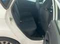 Ford Fiesta Fiesta 5p 1.4 Business Gpl 92cv Blanc - thumbnail 11