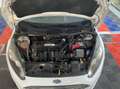 Ford Fiesta Fiesta 5p 1.4 Business Gpl 92cv Blanc - thumbnail 8
