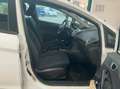 Ford Fiesta Fiesta 5p 1.4 Business Gpl 92cv Blanc - thumbnail 10