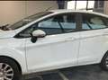 Ford Fiesta Fiesta 5p 1.4 Business Gpl 92cv Blanc - thumbnail 7