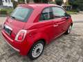 Fiat 500 Lounge Pano Dach, Klima, El Fenster 2te Hand Rouge - thumbnail 5