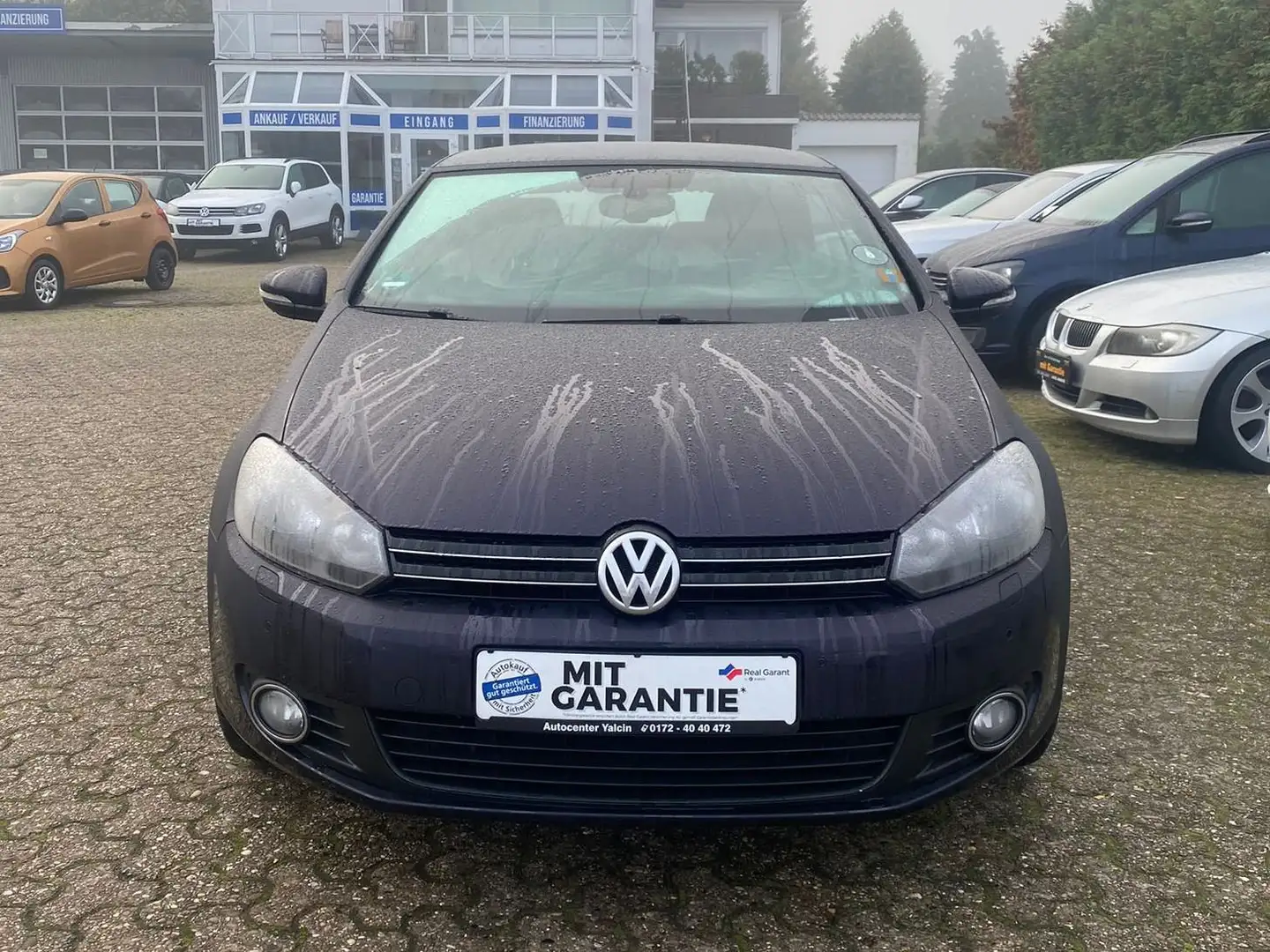 Volkswagen Golf Cabriolet Basis BMT Violett - 2
