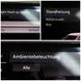 Volkswagen Tiguan DSG 4M*R LINE*BLACK*PANO*IQ*STHZ*360*AHK* Bleu - thumbnail 14