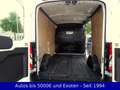 Ford Transit Kasten - Partikelfilter Neu Wit - thumbnail 8