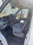 Ford Transit Ford Transit 110T330 2.2TDCI Weiß - thumbnail 9