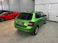 Skoda Fabia 25 1,0 Grün - thumbnail 9
