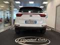 Kia Sportage Sportage IV  1.6 crdi mhev Bus Class 2wd 136cv dct Bianco - thumbnail 13