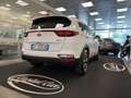 Kia Sportage Sportage IV  1.6 crdi mhev Bus Class 2wd 136cv dct Bianco - thumbnail 3