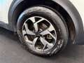 Kia Sportage Sportage IV  1.6 crdi mhev Bus Class 2wd 136cv dct Bianco - thumbnail 11