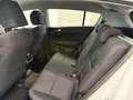 Kia Sportage Sportage IV  1.6 crdi mhev Bus Class 2wd 136cv dct Bianco - thumbnail 7