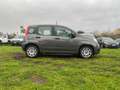 Fiat Panda 2021 * 5 Posti * Unico-Proprietario Gris - thumbnail 6