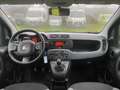 Fiat Panda 2021 * 5 Posti * Unico-Proprietario Gris - thumbnail 7
