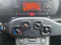 Fiat Panda 2021 * 5 Posti * Unico-Proprietario Gris - thumbnail 12