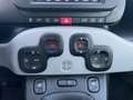 Fiat Panda 1.0 Hybrid City Cross 70CV - IN PRONTA CONSEGNA Grigio - thumbnail 14
