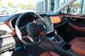 Subaru OUTBACK Platinum Leder braun sofort! Grün - thumbnail 10