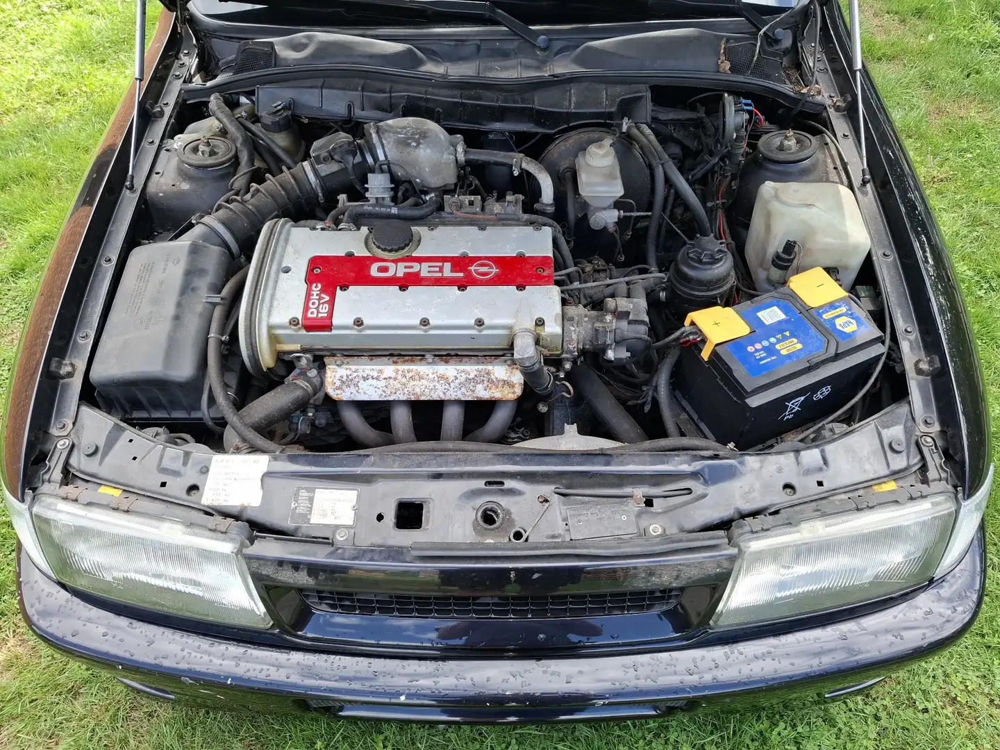 Opel Vectra A 2000 16V - 2