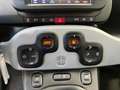 Fiat Panda Cross 1.0 firefly hybrid S&S - Carplay - IVA Esp. Grijs - thumbnail 15