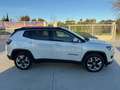 Jeep Compass Compass 1.6 mjt Limited 120cv BICOLOR GARANZIA Bianco - thumbnail 12