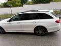 Mercedes-Benz E 350 E 350 d T 4MATIC Aut. Weiß - thumbnail 3