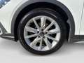 Volkswagen Golf Variant Golf VIII Variant Alltrack 2.0TDI DSG 4Mo AHK Weiß - thumbnail 5