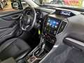 Subaru Forester 2.0 ie "e-Boxer" Automatik LED Cam 1.Hd Gris - thumbnail 6