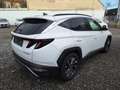 Hyundai TUCSON NX4 Trend Line 1,6 T-GDi 2WD 48V t1bt0 Weiß - thumbnail 3