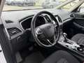 Ford Galaxy 2,0 TDCi Titanium Start/Stop Powershift Weiß - thumbnail 18