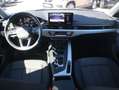 Audi A4 Avant 35 TFSI S line S-Tronic LED Navi Kamera Gris - thumbnail 11