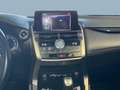 Lexus NX 200t BUSSINES 2WD Grijs - thumbnail 7
