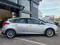 Ford Focus 1.0 Ecoboost Auto-S&S Business 125 Gris - thumbnail 8